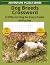 Dog Breeds Crossword: Dog B...