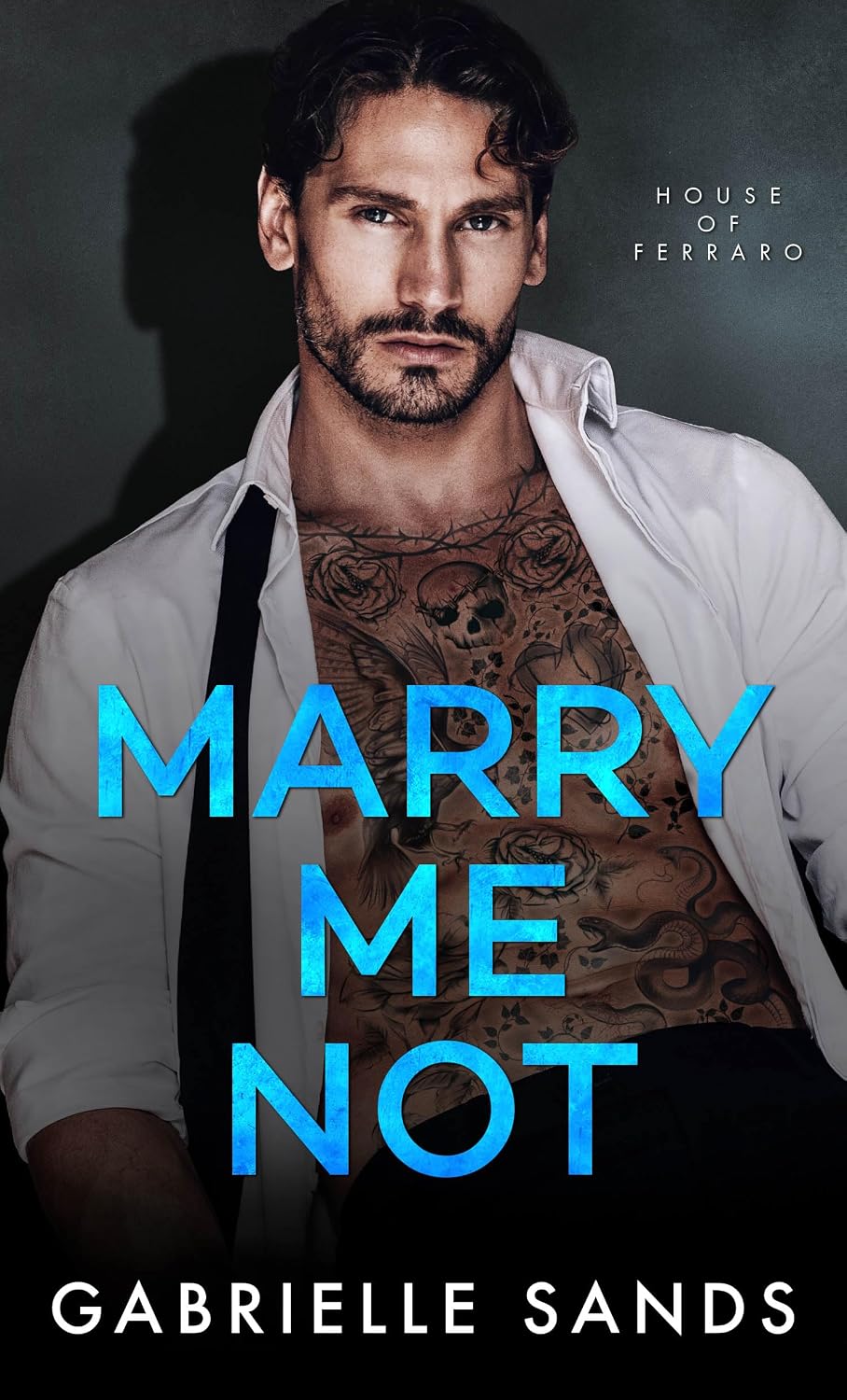 Portada de Marry Me Not, de Gabrielle Sands