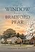 Through the Window Over the Bradford Pear by Damon McLeod