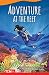 Adventure at the Reef