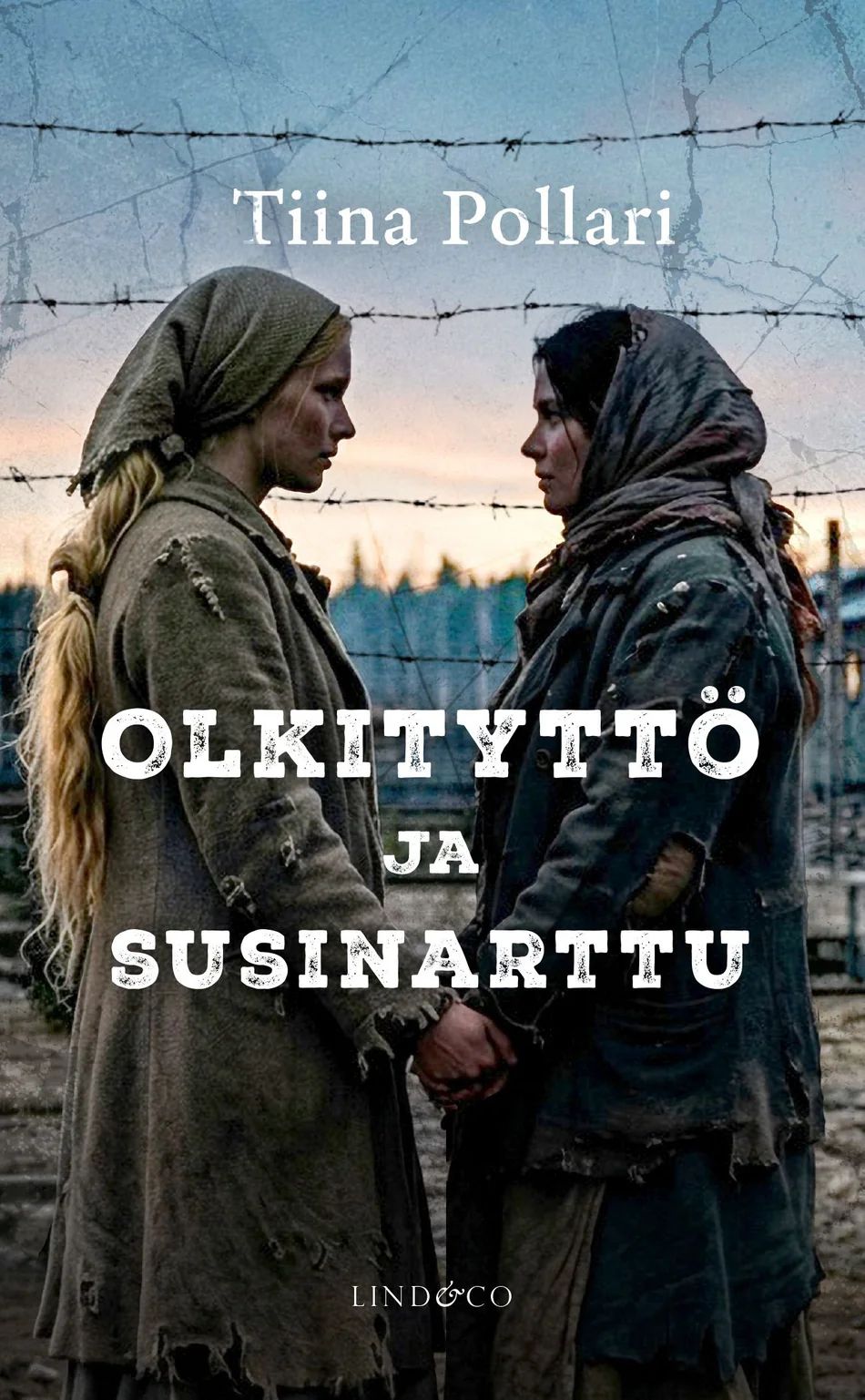 Olkityttö ja susinarttu