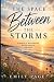 The Space Between The Storms