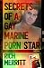 Secrets of a Gay Marine Porn Star by Rich Merritt