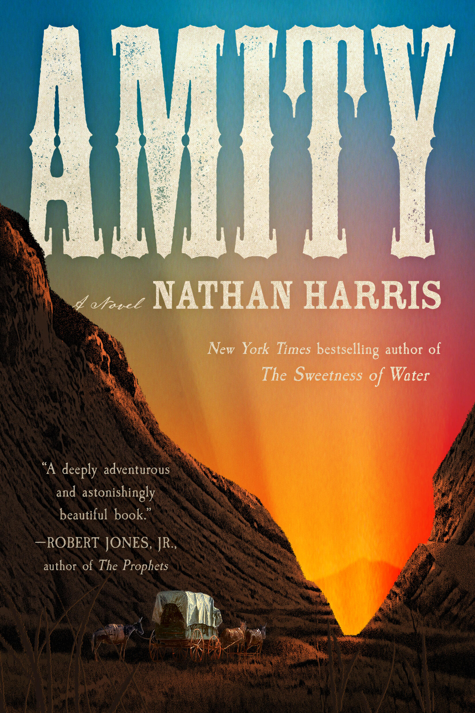 Amity: A Novel