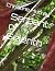 Serpent of Selerith