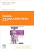 The Endocrine System,Elsevi...