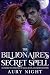 The Billionaire's Secret Spell