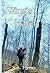 Wing's Haven (The Haven Ser...
