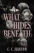 What Hides Beneath