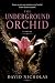The Underground Orchid