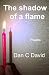 The shadow of a flame