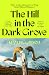 The Hill in the Dark Grove by Liam Higginson