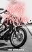 Wild Freedom (Desert Kingsn...