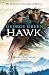 Hawk: An epic roman adventu...