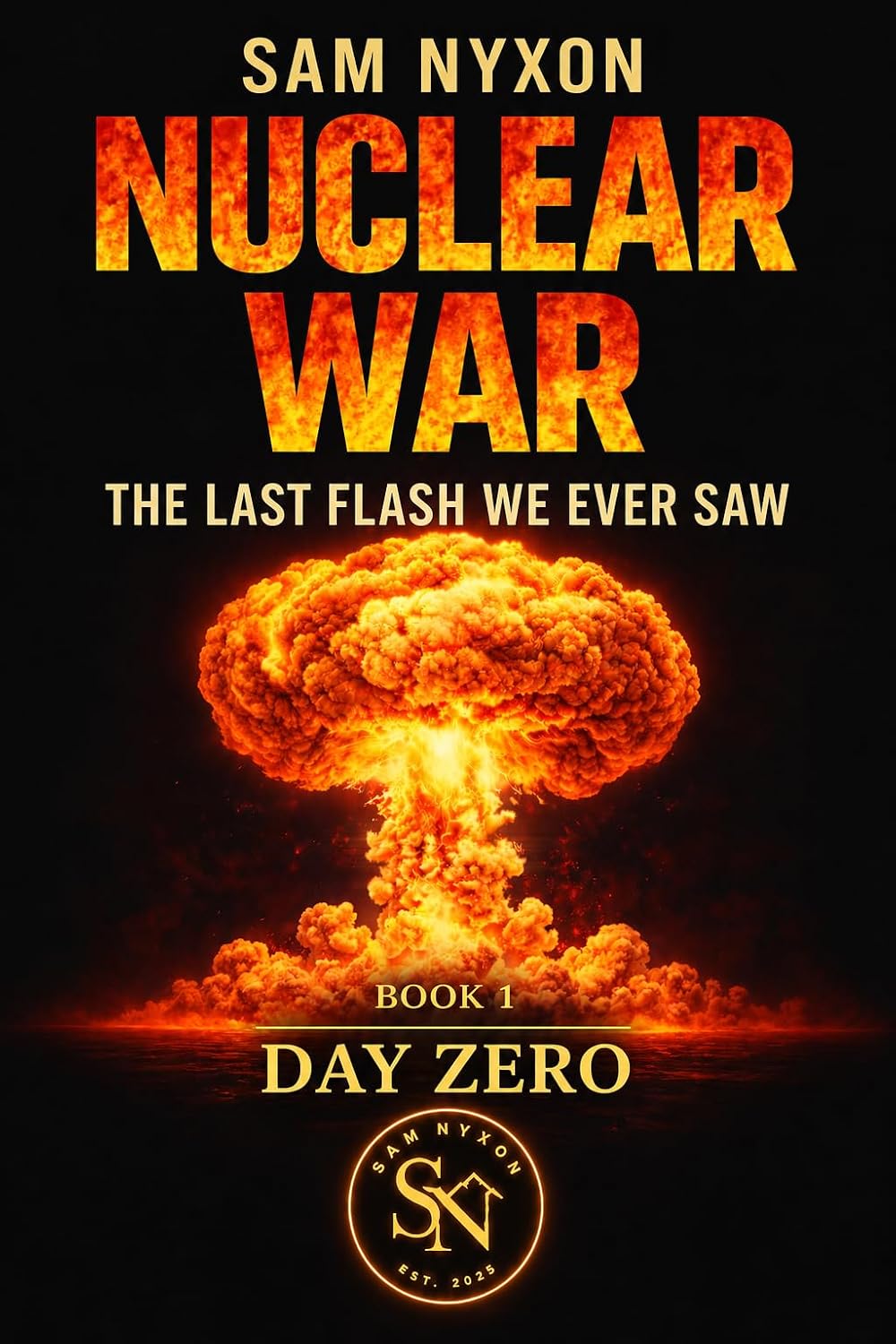 NUCLEAR WAR: THE LAST FLASH WE EVER SAW (Day Zero Book 1)