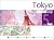 PopOut Map Tokyo: Pocket-Si...
