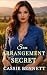 Son Arrangement Secret (Les...