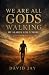 We Are All Gods Walking: My...