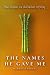 The Names He Gave Me by Mamoon Chowdry The Names He Gave Me by Mamoon Chowdry