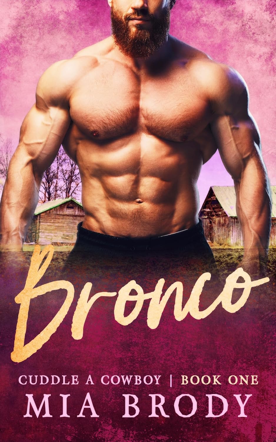 Bronco (Cuddle a Cowboy #1)