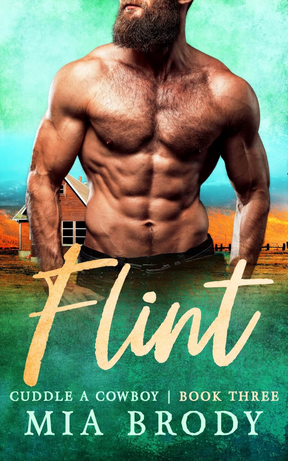 Read Flint (Cuddle a Cowboy #3)