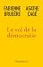 Le vol de la démocratie