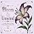 BLOOM & UNWIND by S G