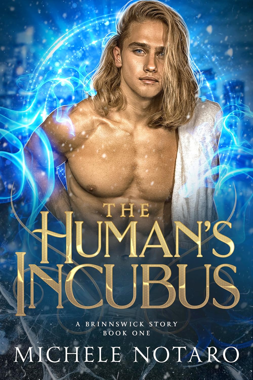 The Human's Incubus (Brinnswick Story, #1)