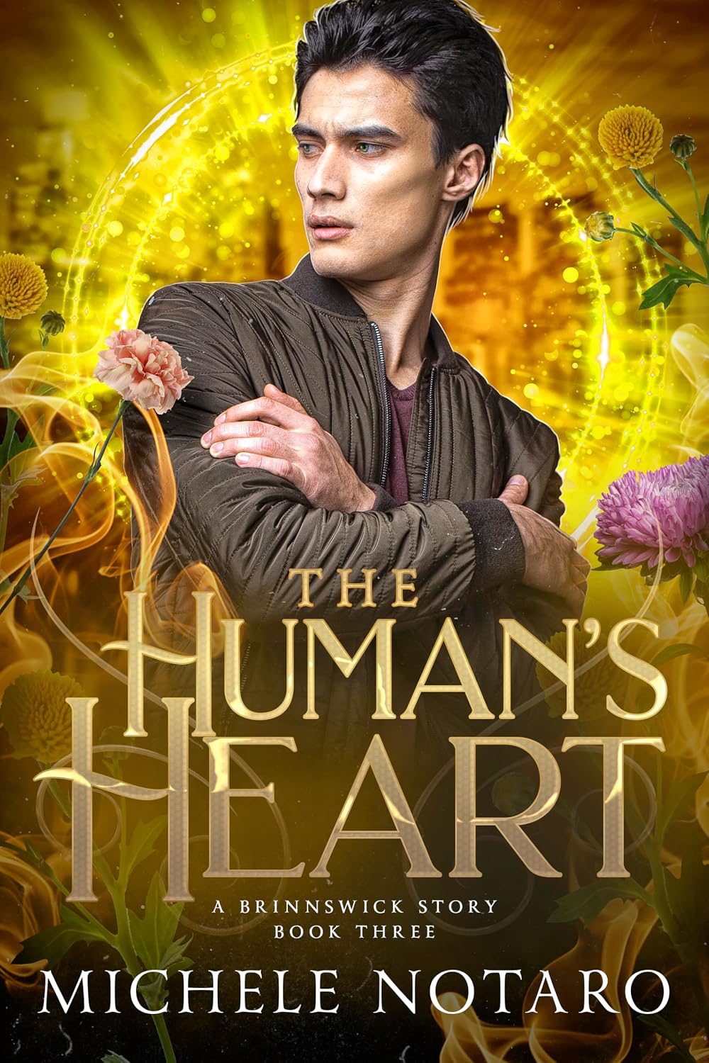 The Human's Heart (A Brinnswick Story #2)
