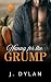 Nanny for the Grump