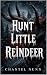 Hunt Little Reindeer