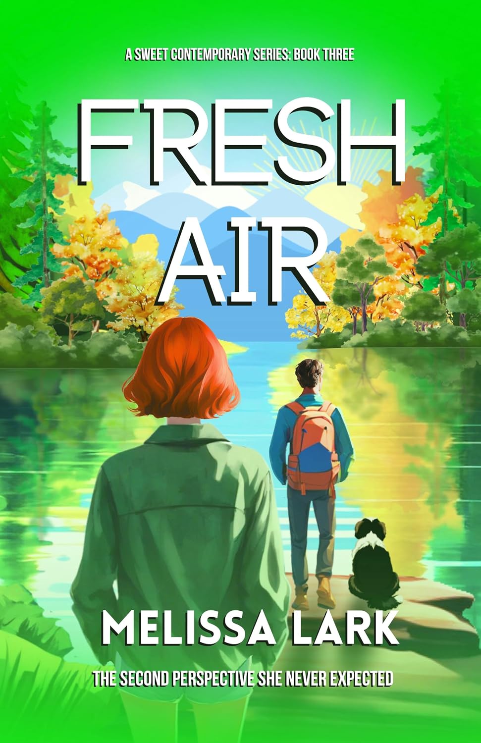 Fresh Air (Fresh Series: Closed-door, stand-alone romantic women's fiction novels with a dash of mystery Book 3)