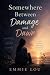 Somewhere Between Damage an...