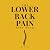 The Lower Back Pain Gift Bo...
