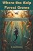 Where the Kelp Forest Grows: A Middle Grade Novel About Divorce, Scuba Diving, and Choosing Who You Become