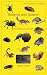 Rodents and Spiders: A Poet...