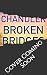 Broken Bridges: Perfect for...