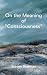 On the Meaning of "Consciou...