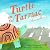 Turtle on the Tarmac: A Pic...