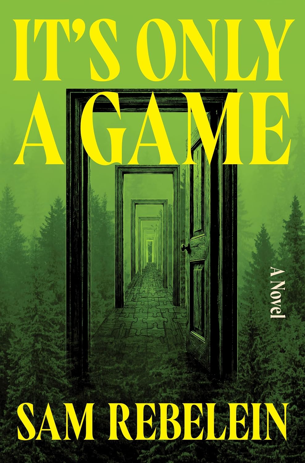 It's Only a Game: A Novel