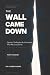 The Wall Came Down: Options...