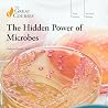 The Hidden Power ...