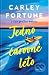 Jedno čarovné leto (Barry's Bay, #2)