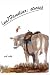 (un)Familiar - stories