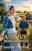 A LOVE NEVER EXPECTED by Naomi Troyer A LOVE NEVER EXPECTED by Naomi Troyer