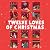 The Twelve Loves of Christmas: an advent calendar of festive romance stories for Christmas