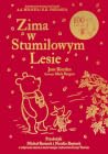 Zima w Stumilowym...
