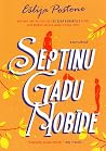Septiņu gadu nobīde