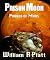 Prison Moon by William Platt