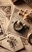 # Lenormand für Anfänger: K...